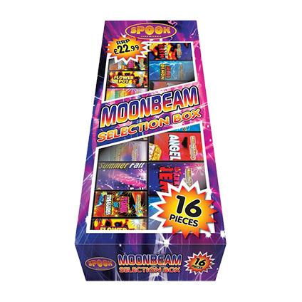 Wicked Fireworks | Moonbeam