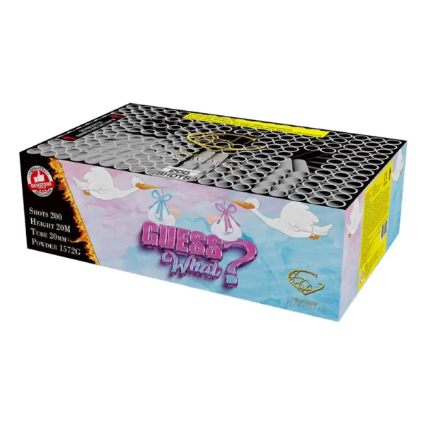 Guess What - Gender Reveal Firework