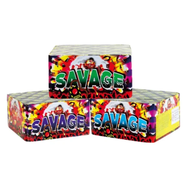 Savage - 100 Shots Barrage - Badboy Fireworks