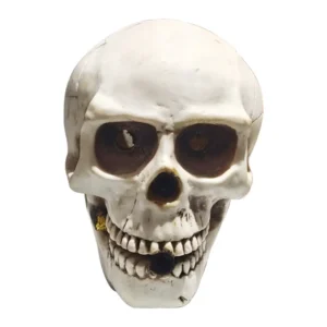 680